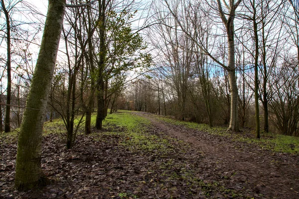 Vuil Pad Een Park Het Italiaanse Platteland Winter — Stockfoto