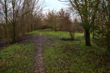 İtalya 'nın kırsal kesimindeki bir parkta kışın toprak yol