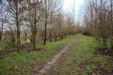 İtalya 'nın kırsal kesimindeki bir parkta kışın toprak yol