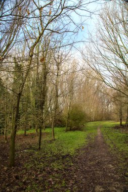 İtalya 'nın kırsal kesimindeki bir parkta kışın toprak yol