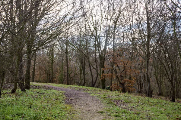 Percorso Sterrato Parco Nella Campagna Italiana Inverno — Foto Stock