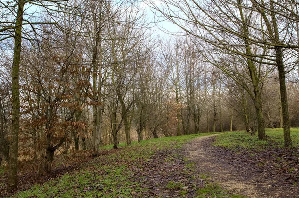 Vuil Pad Een Park Het Italiaanse Platteland Winter — Stockfoto