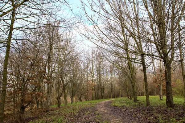 Dirt Path Park Italian Countryside Winter — Stock Photo, Image