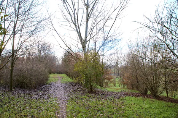 Smutsig Stig Park Den Italienska Landsbygden Vintern — Stockfoto