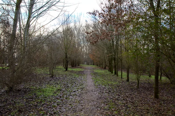 Schotterpfad Einem Park Der Italienischen Landschaft Winter — Stockfoto