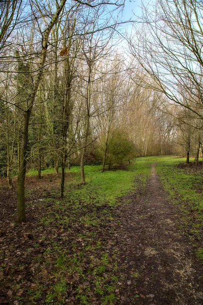 Caminho Terra Parque Campo Italiano Inverno — Fotografia de Stock