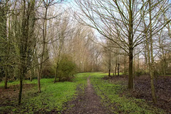 Chemin Terre Dans Parc Campagne Italienne Hiver — Photo