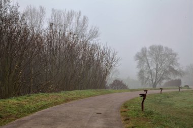 Sisli bir günde İtalya kırsalındaki bir parkta bisiklet yolu.
