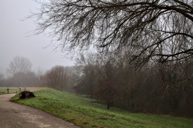 Sisli bir günde İtalya kırsalındaki bir parkta bisiklet yolu.