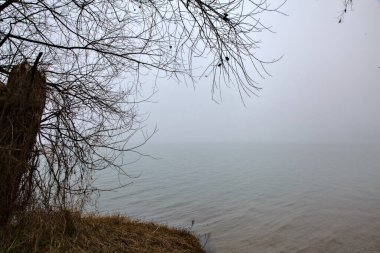 İtalya kırsalında sisli bir günde gölün kıyısında çıplak ağaçlar.