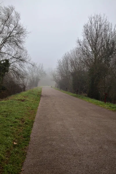 Bike Path Park Italian Countryside Foggy Day — Stock Photo, Image