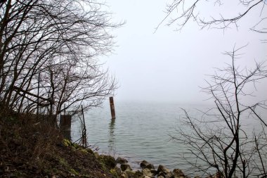 İtalya 'nın varoşlarındaki bir parkta sisli bir günde gölün kıyısında tahta bir direk var.