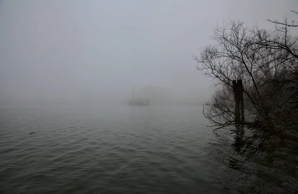 Tiang Kayu Air Sebelah Tepi Danau Pada Hari Berkabut Sebuah — Stok Foto