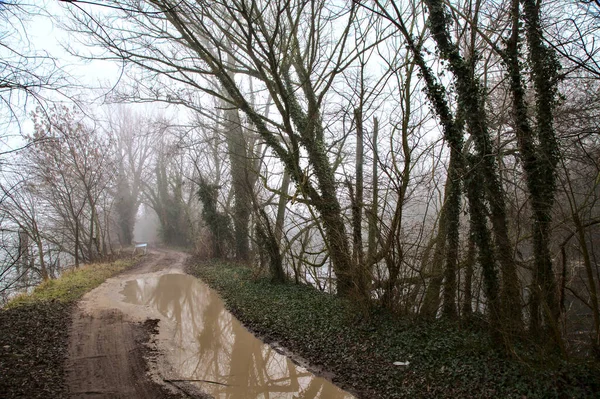 Sentiero Sterrato Pieno Pozzanghere Parco Nella Campagna Italiana Una Giornata — Foto Stock