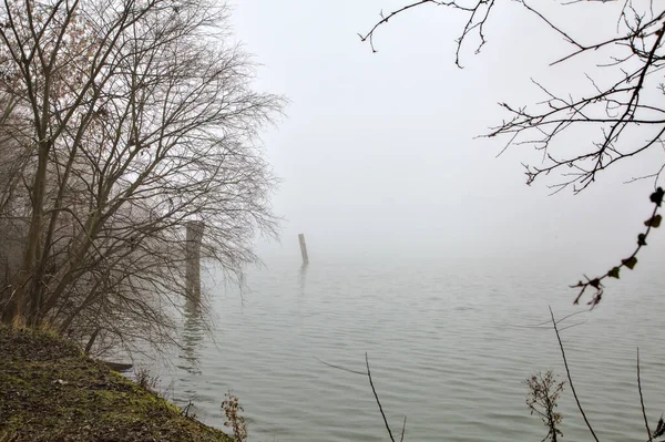 意大利小镇郊外的一个公园里 在一个多雾的日子里 在湖畔的水面上有一根木制的杆子 — 图库照片