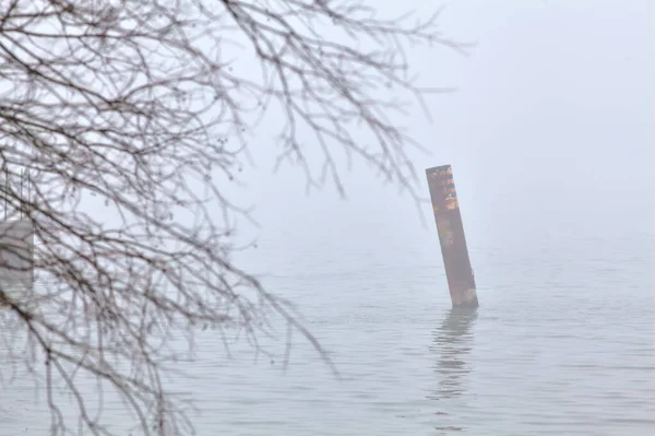 Poteau Bois Dans Eau Côté Rive Lac Par Une Journée — Photo