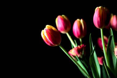 Karanlıkta bir buket lale ve gülün yakınına.