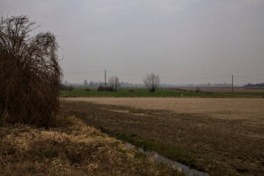 Kışın bulutlu bir günde İtalya kırsalında çıplak ağaçlarla kaplı tarlalar.