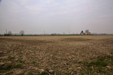 Kışın bulutlu bir günde İtalya kırsalında çıplak ağaçlarla kaplı tarlalar.