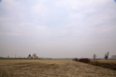 Kışın bulutlu bir günde İtalya kırsalında çıplak ağaçlarla kaplı tarlalar.