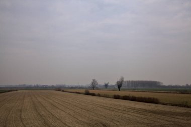 Kışın bulutlu bir günde İtalya kırsalında çıplak ağaçlarla kaplı tarlalar.