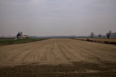 Kışın bulutlu bir günde İtalya kırsalında çıplak ağaçlarla kaplı tarlalar.