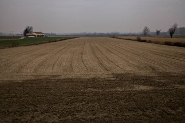 Kışın bulutlu bir günde İtalya kırsalında çıplak ağaçlarla kaplı tarlalar.