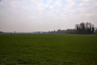 İtalya kırsalında kışın ağaçlarla kaplı ekili tarlalar.