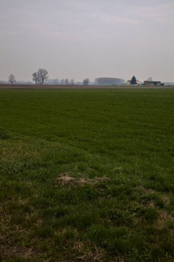 İtalya kırsalında kışın ağaçlarla kaplı ekili tarlalar.