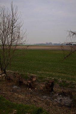 İtalya kırsalında kışın ağaçlarla kaplı ekili tarlalar.