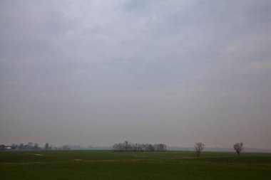 İtalya kırsalında kışın ağaçlarla kaplı ekili tarlalar.