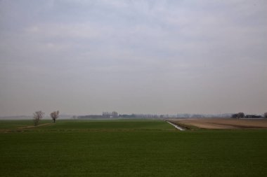 İtalya kırsalında kışın ağaçlarla kaplı ekili tarlalar.