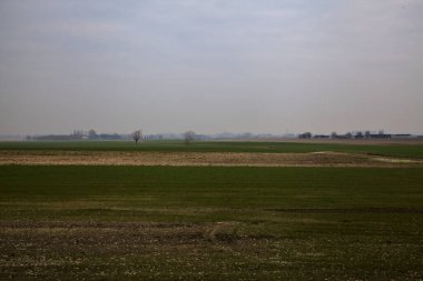 İtalya kırsalında kışın ağaçlarla kaplı ekili tarlalar.