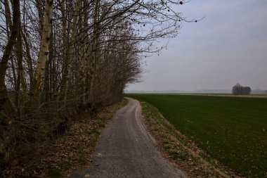 İtalya kırsalında, bulutlu bir günde, tarlalarla ve çıplak ağaçlarla çevrili bisiklet yolu.