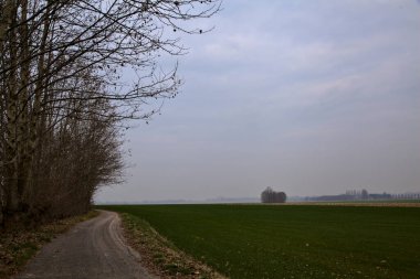 İtalya kırsalında, bulutlu bir günde, tarlalarla ve çıplak ağaçlarla çevrili bisiklet yolu.