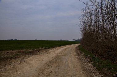İtalya kırsalında, bulutlu bir günde, tarlalarla ve çıplak ağaçlarla çevrili bisiklet yolu.