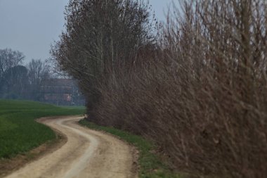 İtalya kırsalında, bulutlu bir günde, tarlalarla ve çıplak ağaçlarla çevrili bisiklet yolu.