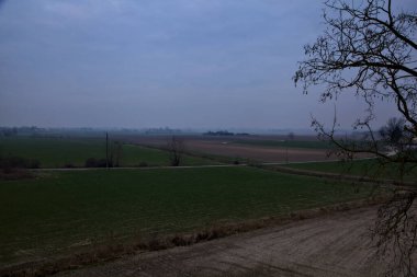 Kışın bulutlu bir günde İtalya kırsalında çıplak ağaçlarla kaplı tarlalar.