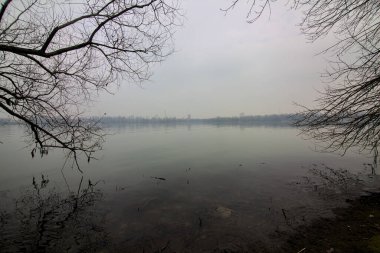 Kışın sisli bir günde çıplak ağaçlar ve gölün kıyısındaki yansımaları.