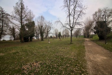 Kışın sisli bir günde parkta kirli bir yol.