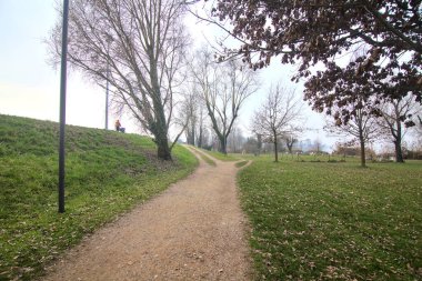 Kışın sisli bir günde parkta kirli bir yol.