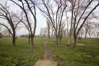 Kışın sisli bir günde parkta kirli bir yol.