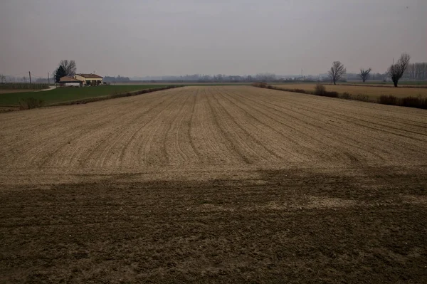 Kışın bulutlu bir günde İtalya kırsalında çıplak ağaçlarla kaplı tarlalar.