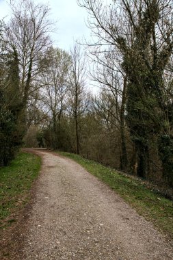 Kışın sonlarında bir İtalyan kasabasının yanındaki bir ormanlık alanda toprak yol.