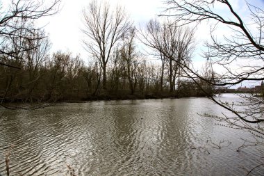 Bulutlu bir günde, kışın sonlarında uzaktan görülen çıplak ağaçlarla dolu bir gölün kıyısında.