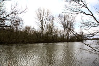 Bulutlu bir günde, kışın sonlarında uzaktan görülen çıplak ağaçlarla dolu bir gölün kıyısında.