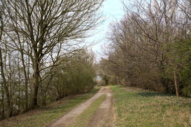 İtalya kırsalındaki bir parkta kışın sonunda çıplak ağaçlarla çevrili bir gölün kıyısındaki toprak patika.