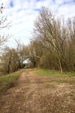 İtalya kırsalındaki bir parkta kışın sonunda çıplak ağaçlarla çevrili bir gölün kıyısındaki toprak patika.