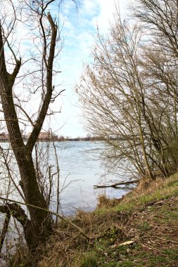 Kışın sonlarında açık bir günde kıyıda ağaçsız bir göl.