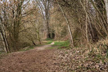 İtalya kırsalındaki bir parkta kışın sonunda çıplak ağaçlarla çevrili bir gölün kıyısındaki toprak patika.